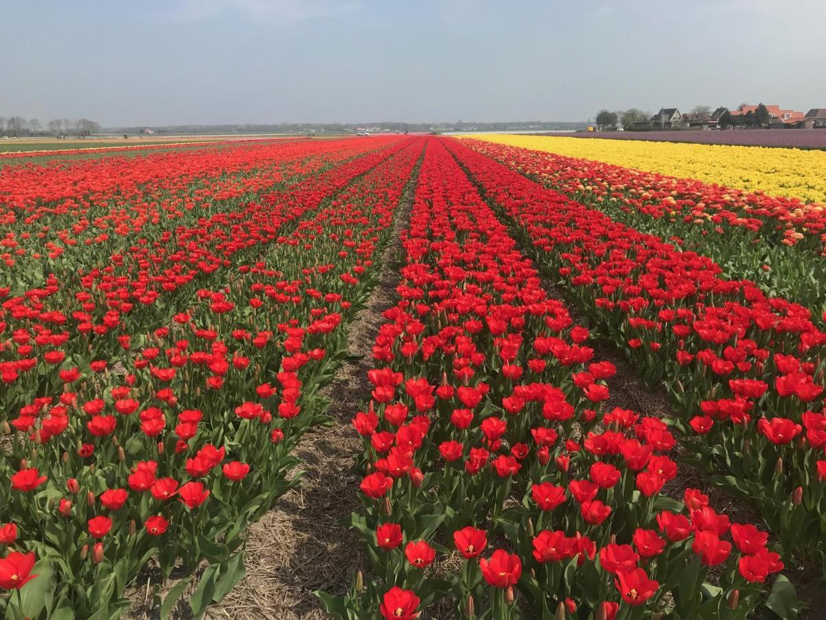 Woonboot Irene Villa Alkmaar Ngoại thất bức ảnh